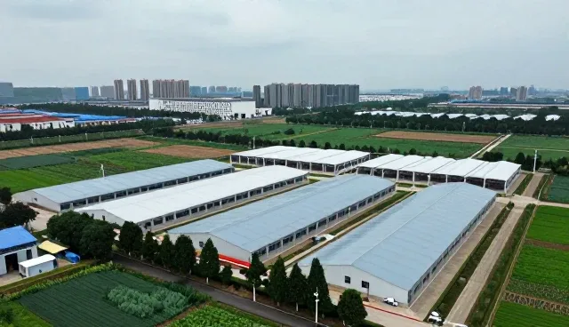 产品设计如何利用软件研发提升价值